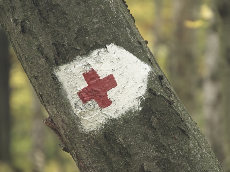 first aid sign on tree
